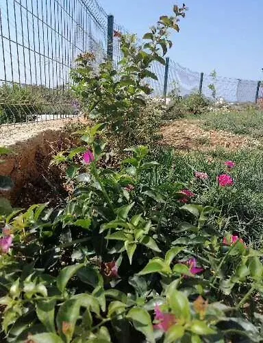 Apartamento Deniz