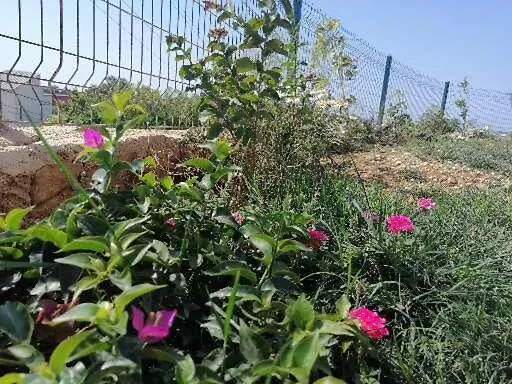 Apartamento Deniz