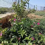 Appartement Deniz