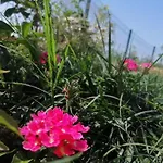 Deniz